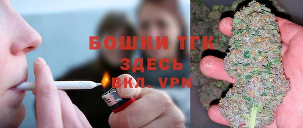 гидра Володарск