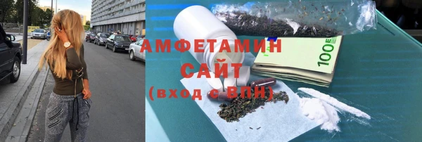 гидра Володарск