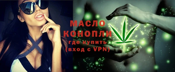 гидра Володарск