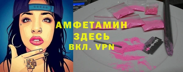 гидра Володарск