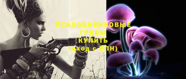 ПСИЛОЦИБИНОВЫЕ ГРИБЫ Волосово