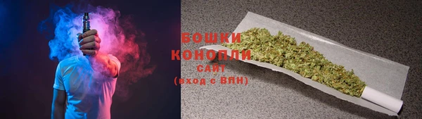 гидра Володарск