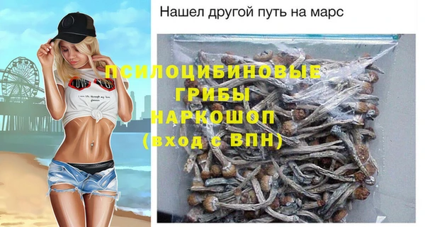ПСИЛОЦИБИНОВЫЕ ГРИБЫ Волосово