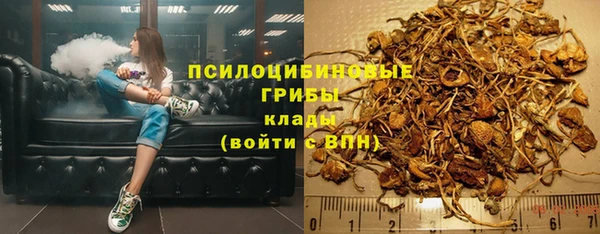 ПСИЛОЦИБИНОВЫЕ ГРИБЫ Волосово