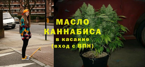 гидра Володарск