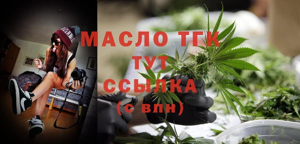гидра Володарск